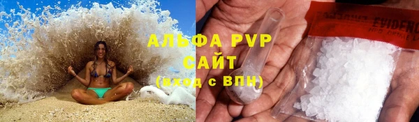 индика Балабаново