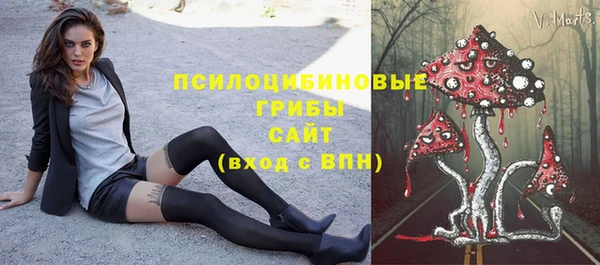 спиды Балахна