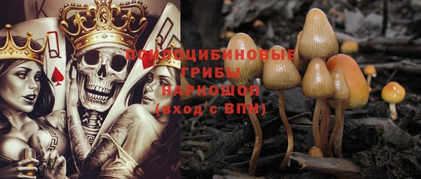 индика Балабаново
