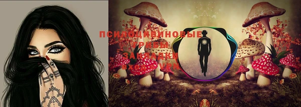 спиды Балахна