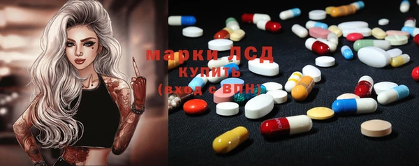 индика Балабаново