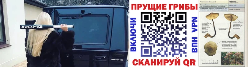 Псилоцибиновые грибы мухоморы  купить наркотик  нарко площадка клад  Реутов  kraken ONION 